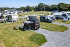 Tarka Trail Camping with grass and planting between rows of pitches