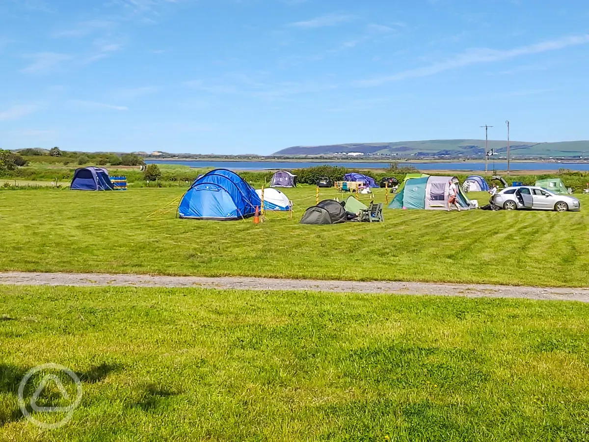 Non electric grass tent pitches