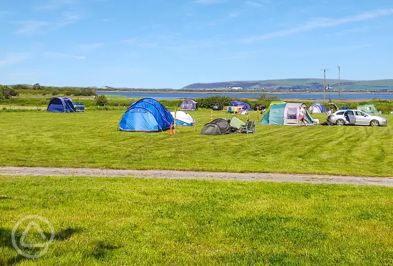 Non electric grass tent pitches