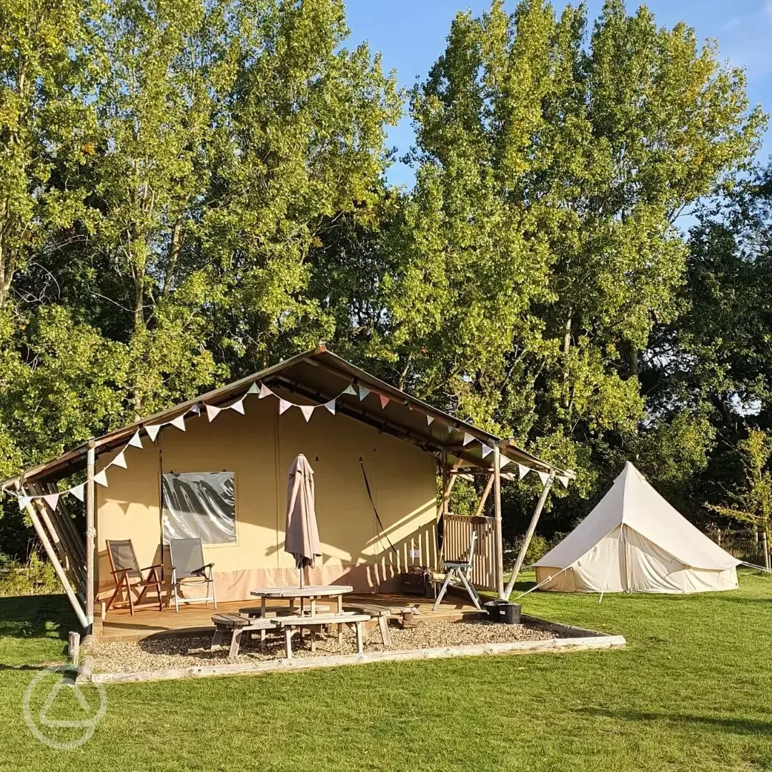 Safari tents