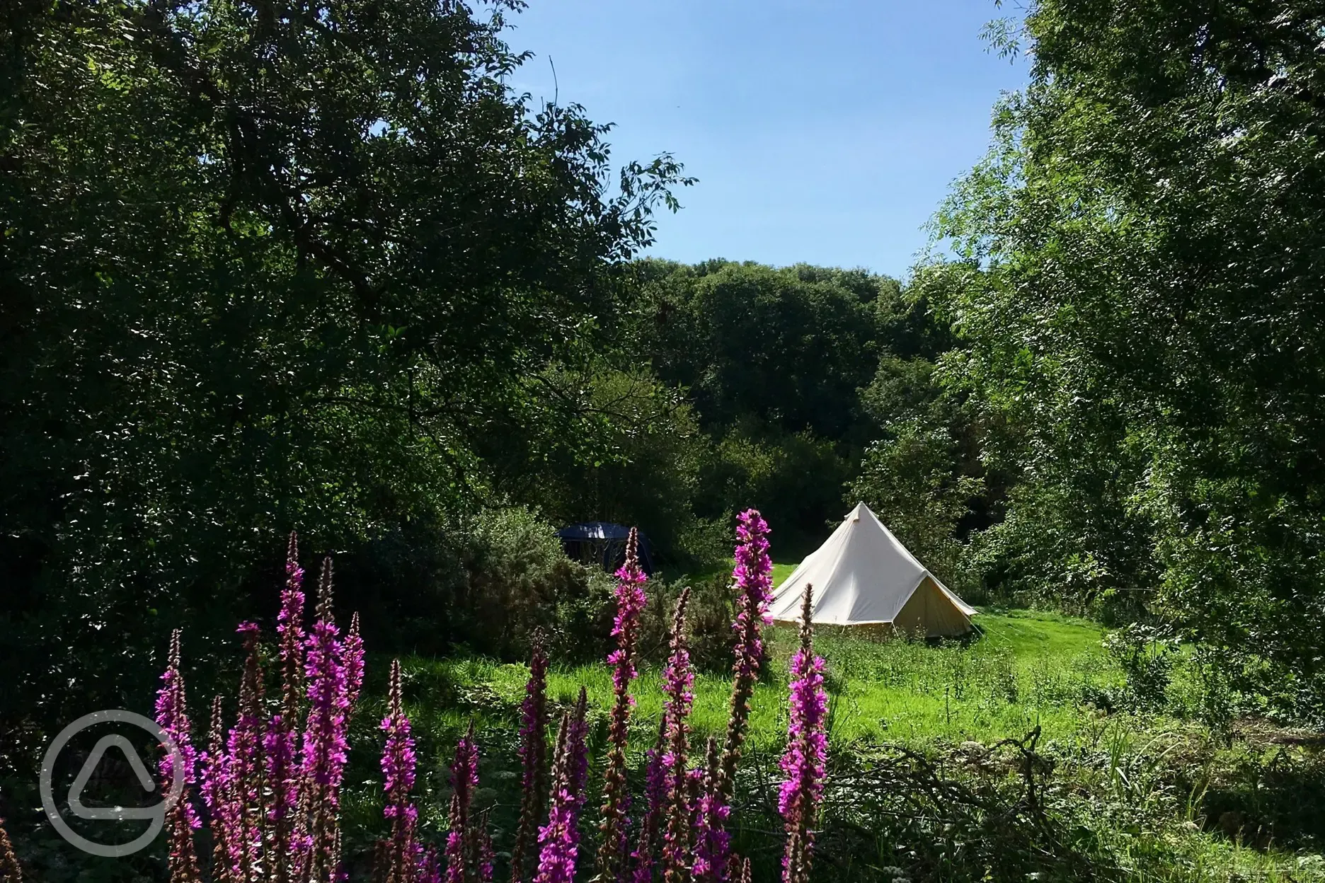 Bell tent