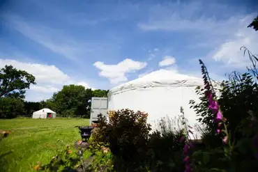 Yurts in meadow