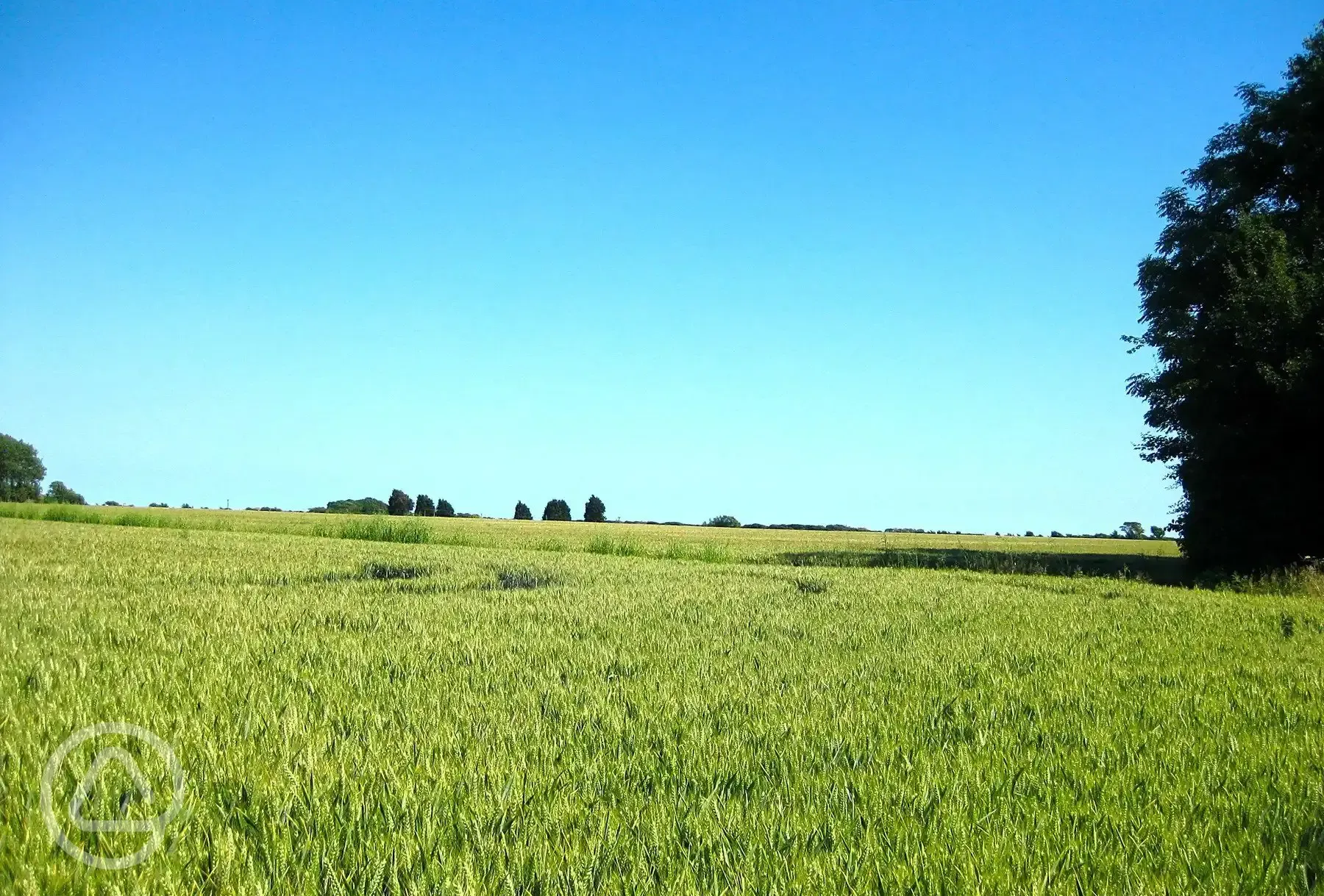 View across fields outside Woodpecker to footpaths
