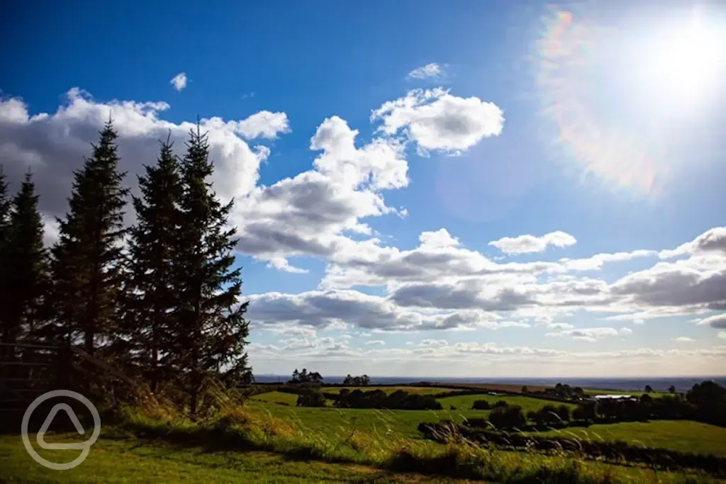 Blue skies