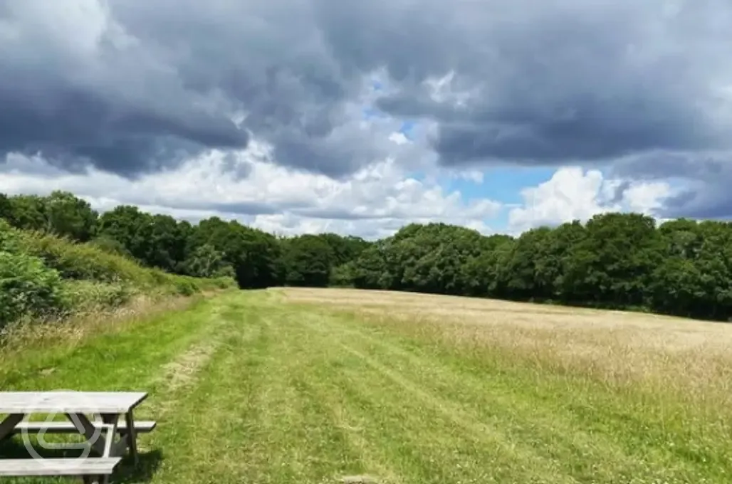 Non electric grass pitches
