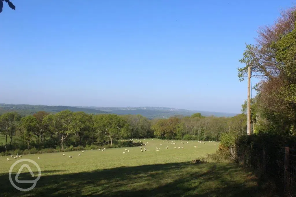 Countryside surroundings