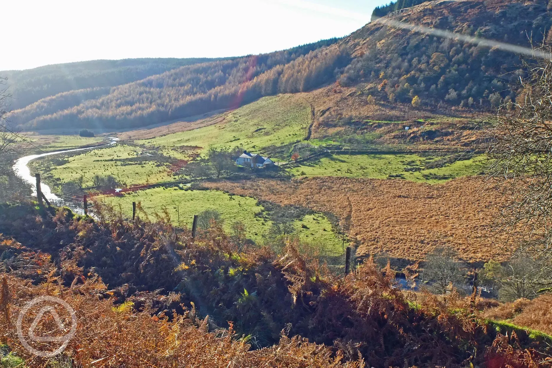 Wild Wales at its finest!