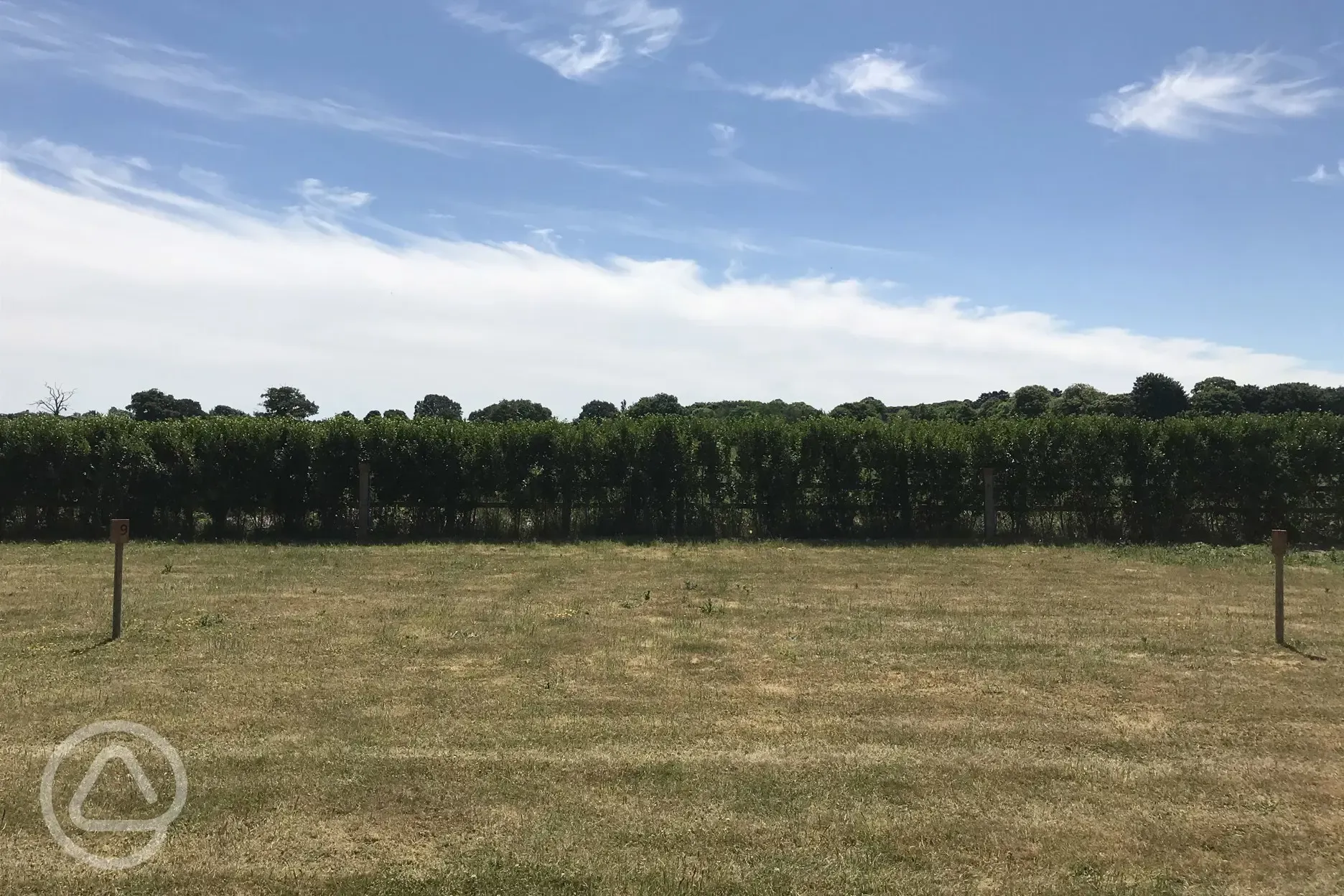 Grass pitch 