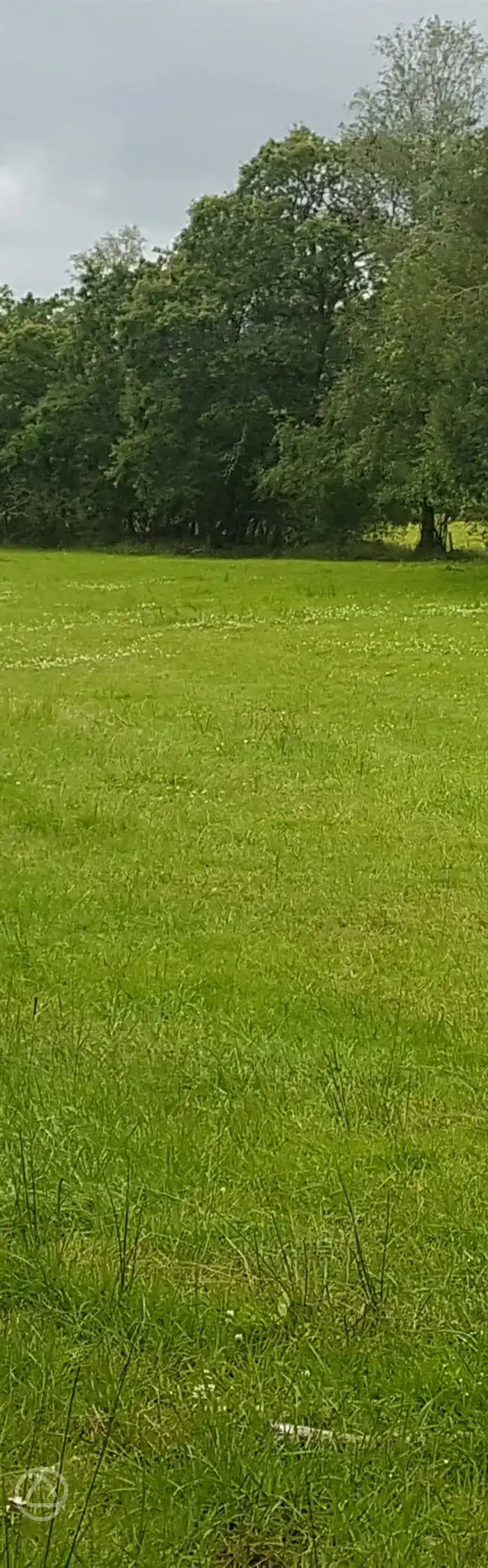 Glandwr Farm in Llanelli, Carmarthenshire