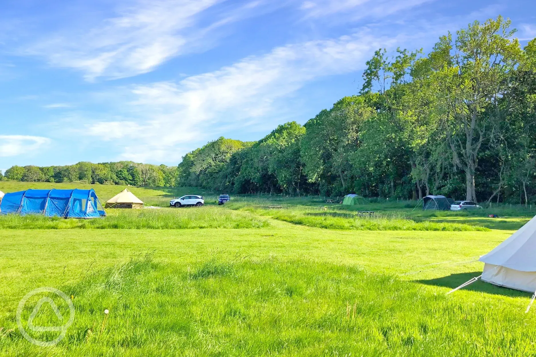 Jumbo tent pitches