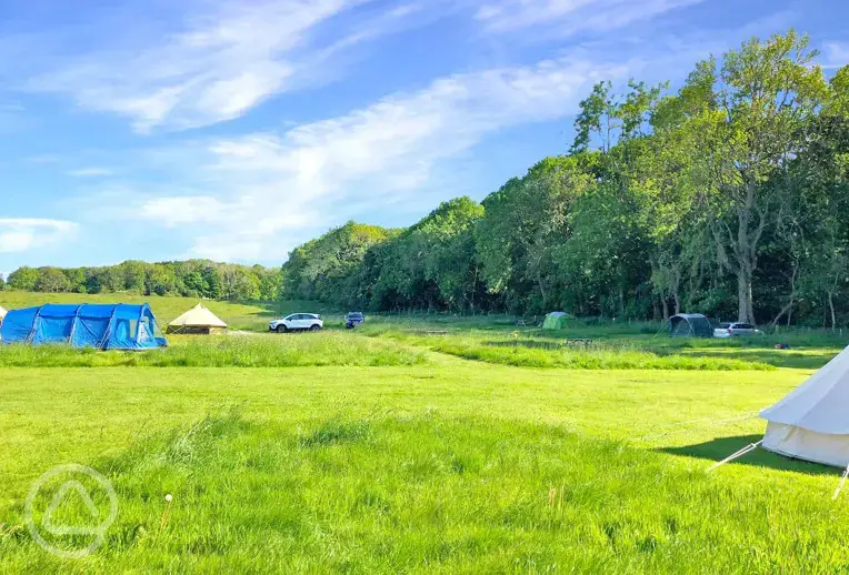 Jumbo tent pitches