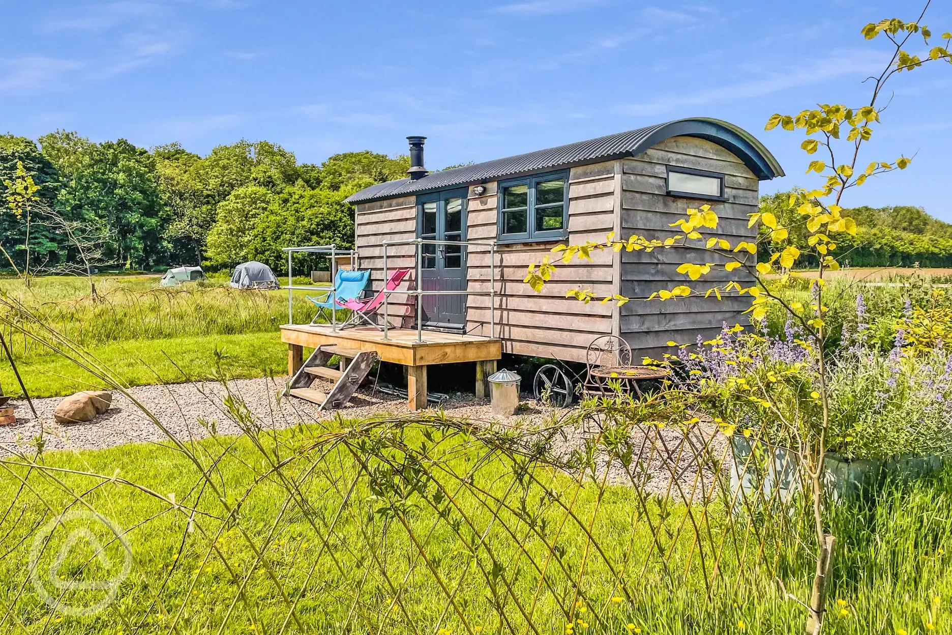 Poppy shepherd's hut