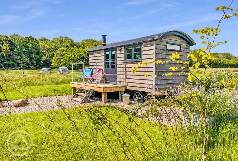 Poppy shepherd's hut