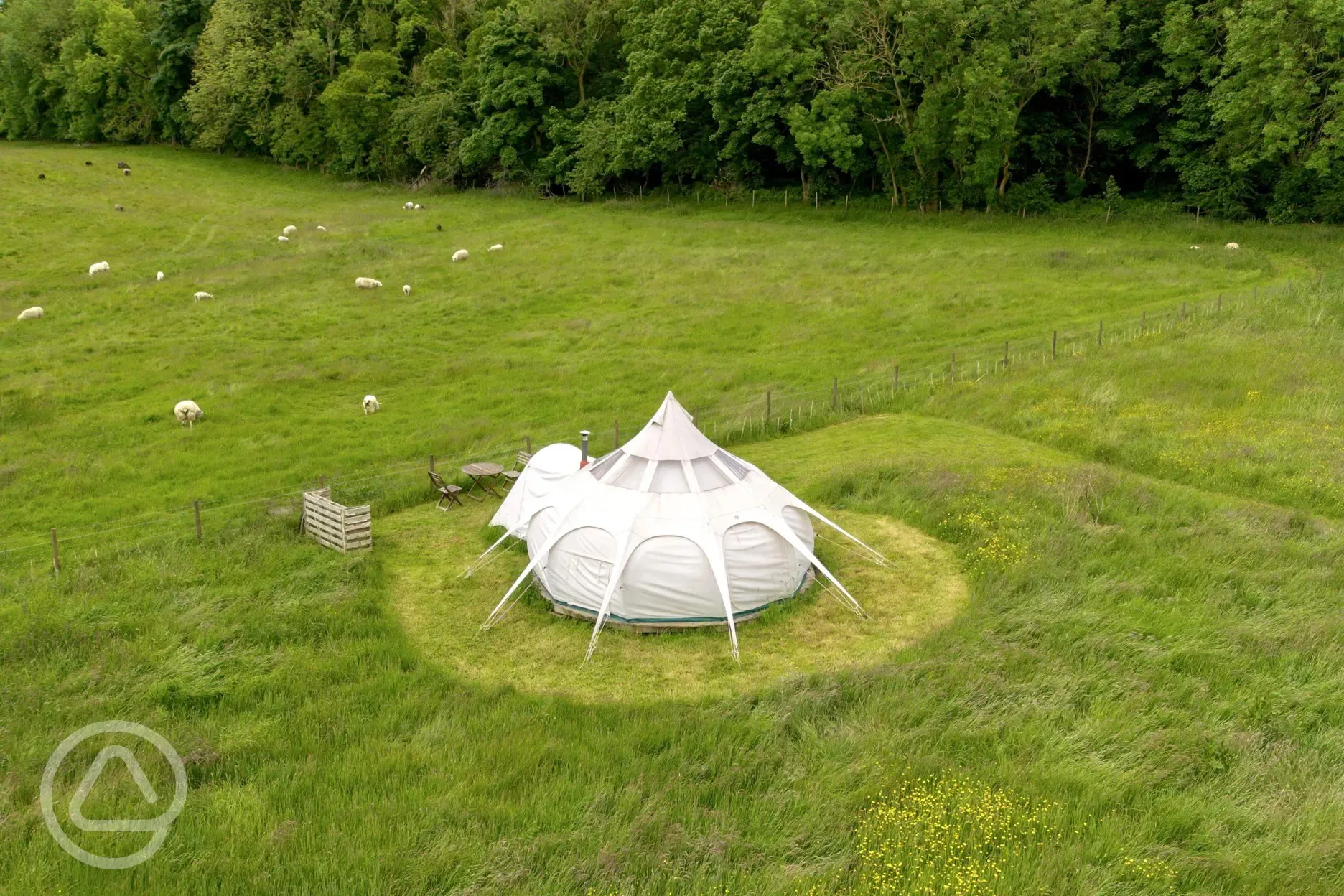 Stargazer bell tent