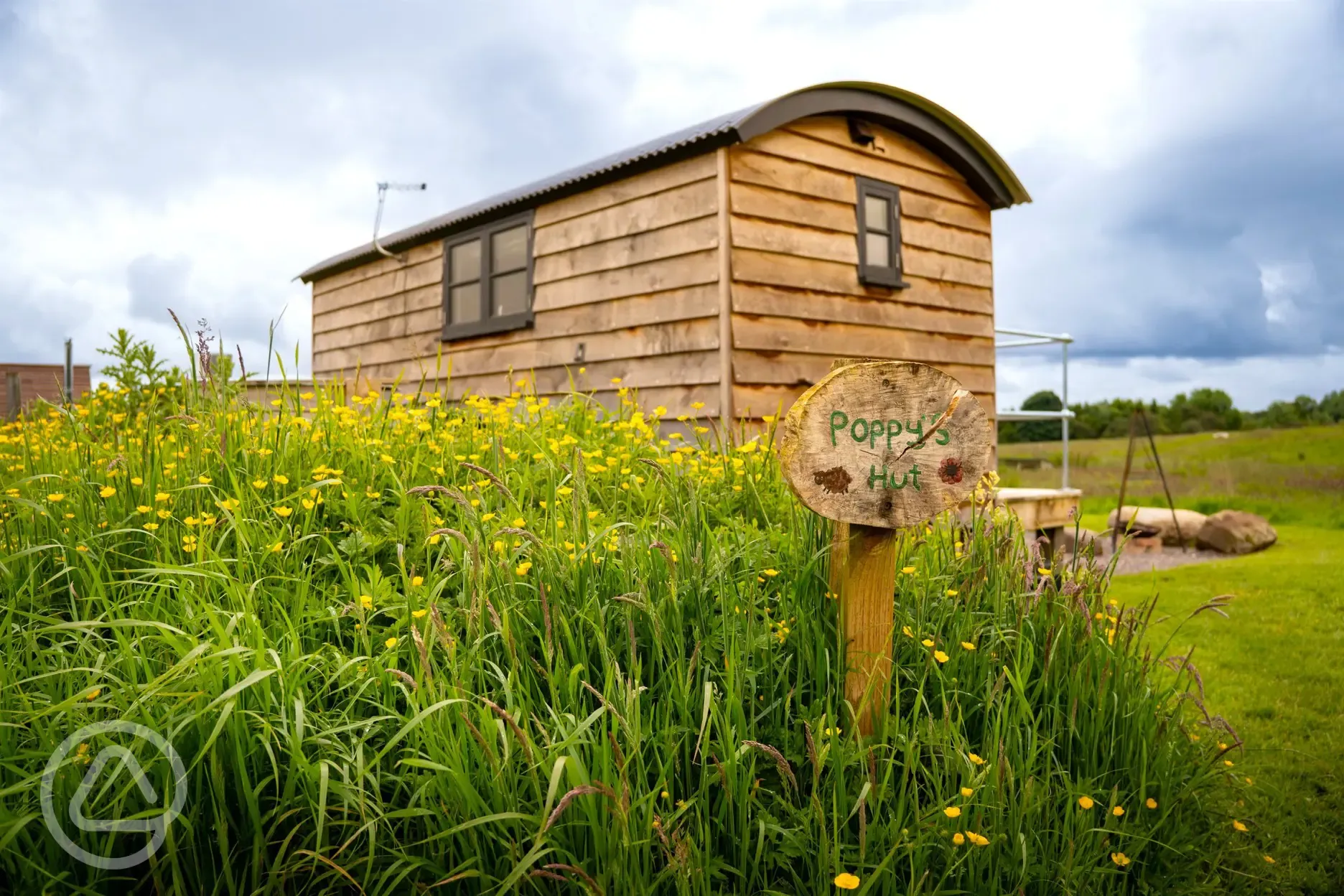 Poppy shepherd's hut