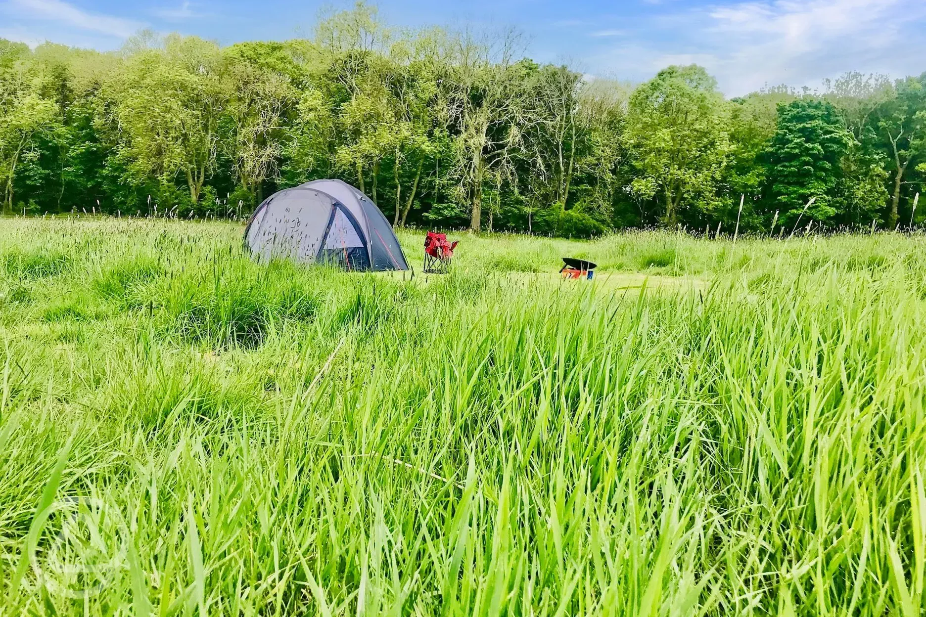 Jumbo tent pitches