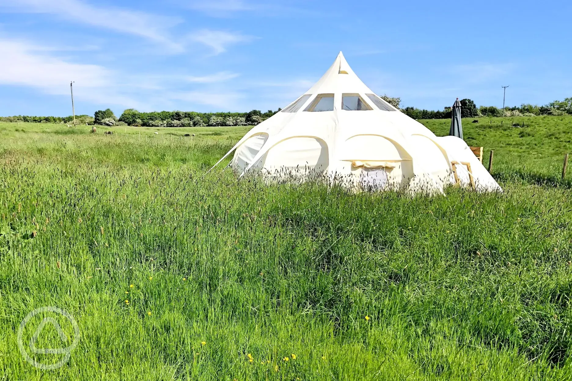 Stargazer bell tent