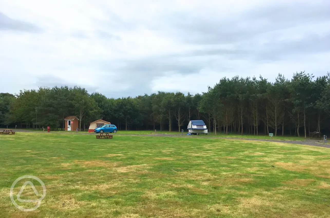 Electric grass pitches for tents and trailer tents