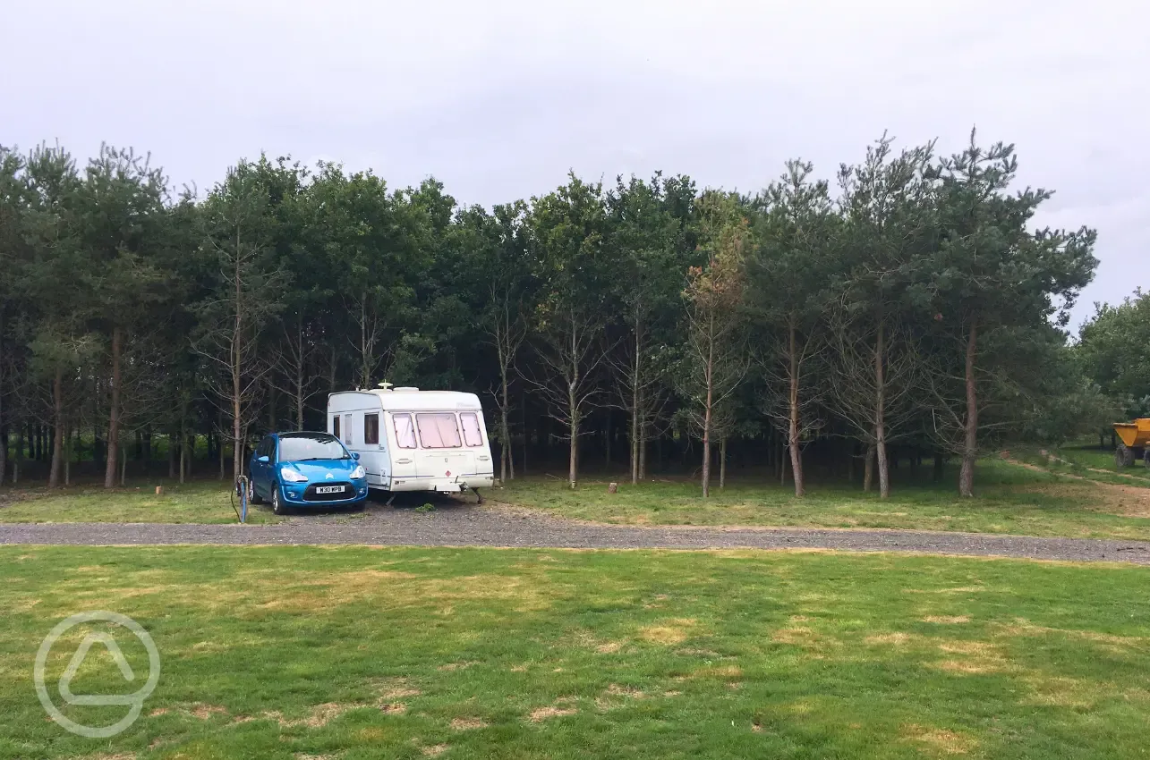 Electric hardstanding pitches
