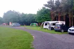 Electric grass pitches Electric grass pitches