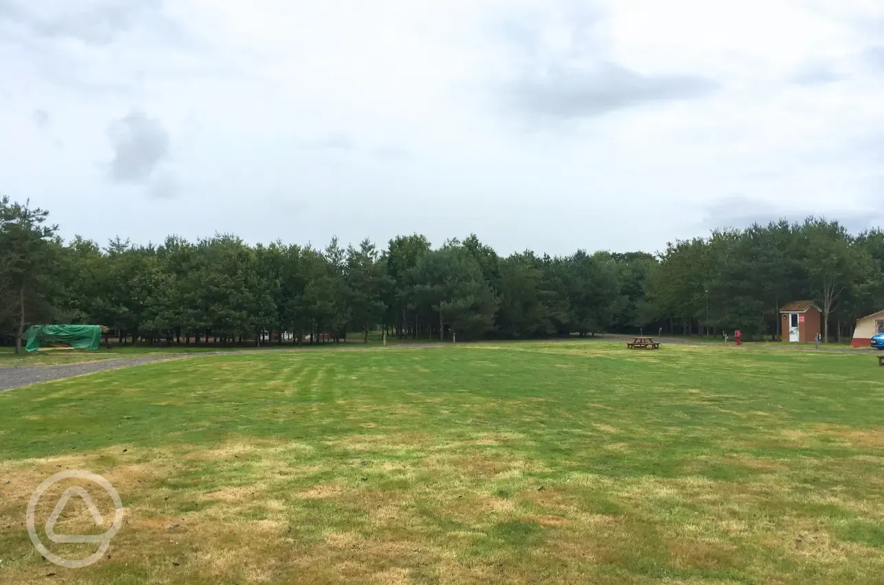 Electric grass pitches with 16 amp hook up