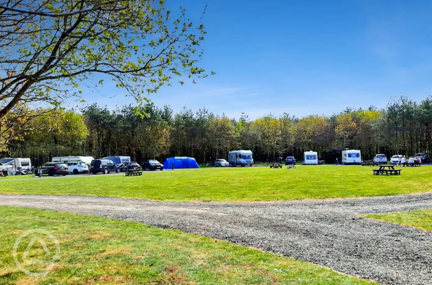 Camping field 