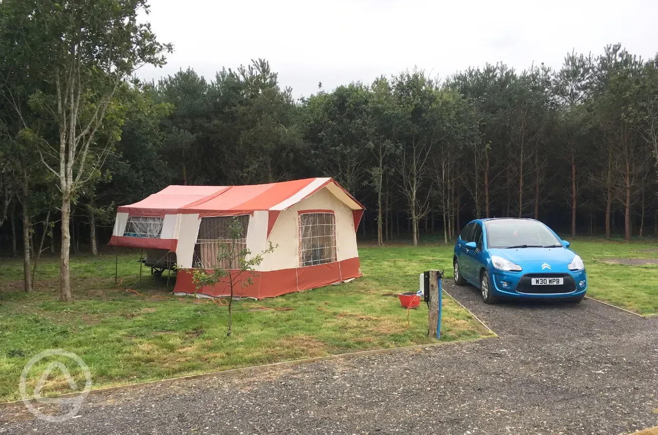 Electric hardstanding pitches and grass pitches with 16 amp hook up