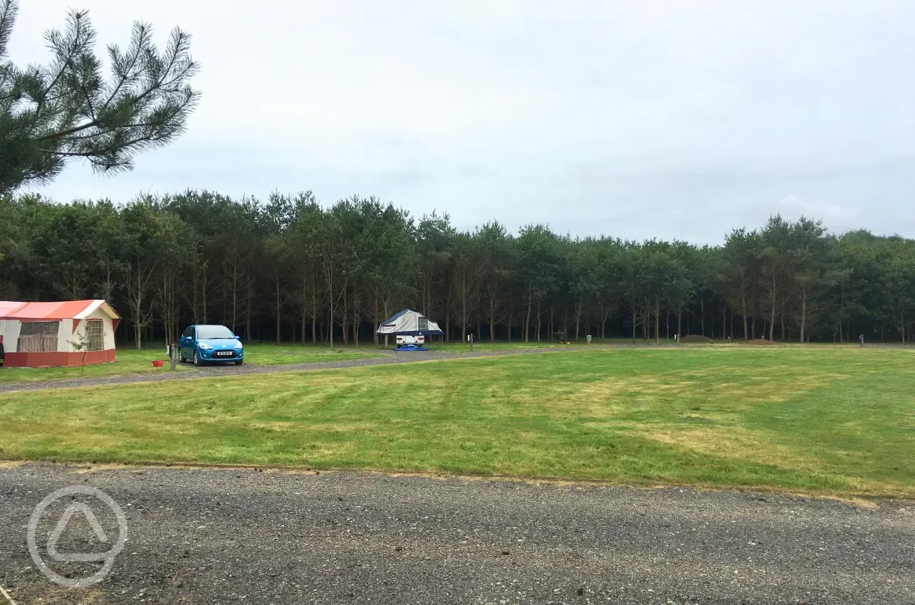 Electric grass pitches for tents and trailer tents