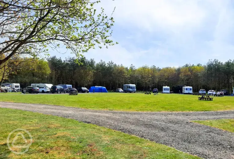 Camping field