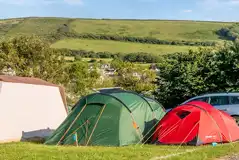 Non electric grass pitches