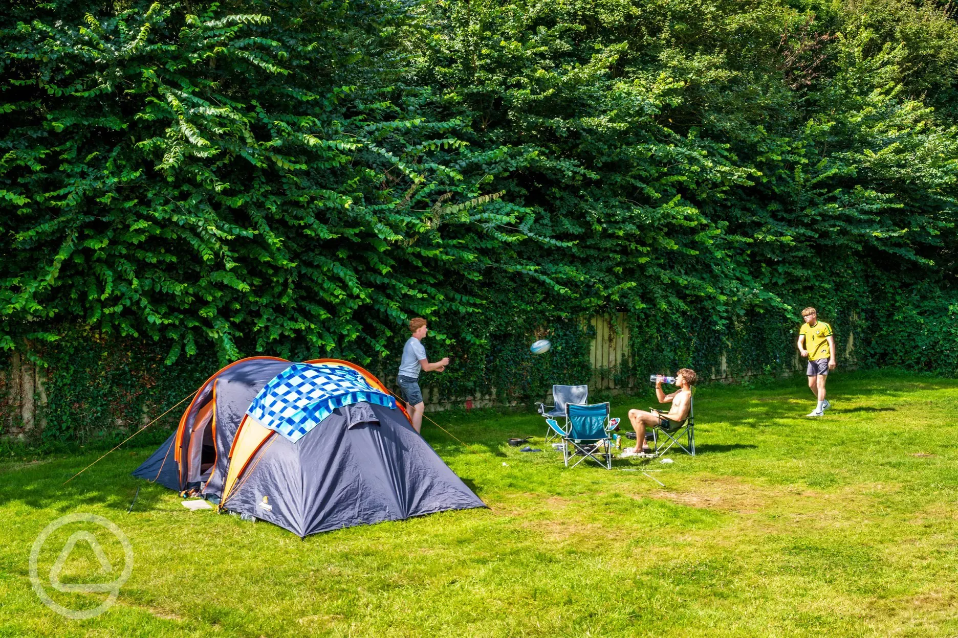 Grass pitches with optional electric