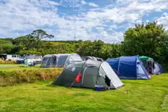 Tents on non electric grass pitches (8m x 7m)