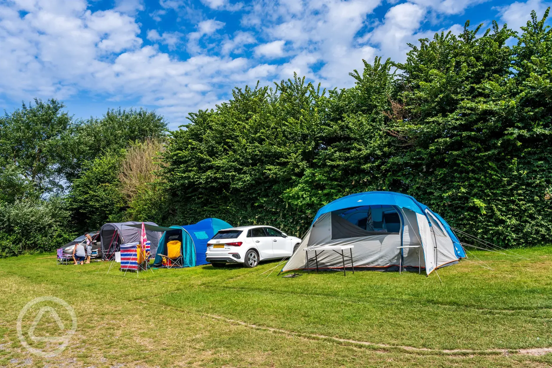 Grass pitches with optional electric