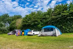 Grass pitches with optional electric