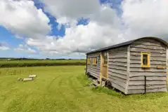 Tamar shepherds hut