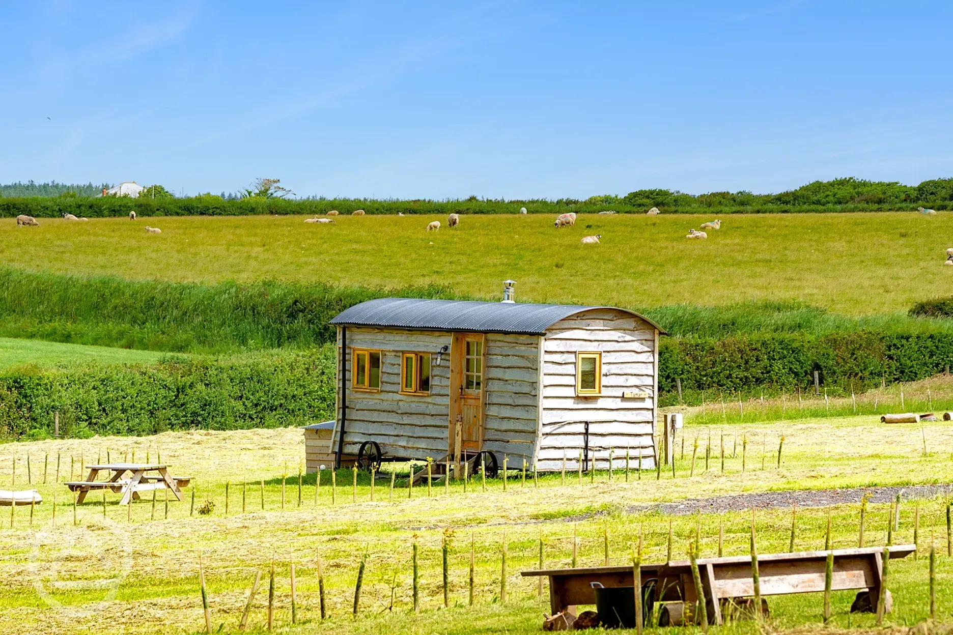Tamar shepherd's hut with views of farm fields