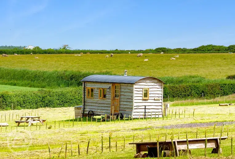 Tamar shepherd's hut with views of farm fields