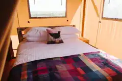 Safari tent bedroom