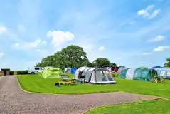 Grass pitches (optional electric)