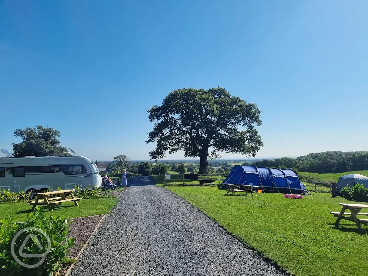 Grass pitches (optional electric)