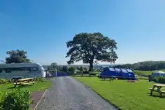 Grass pitches (optional electric)