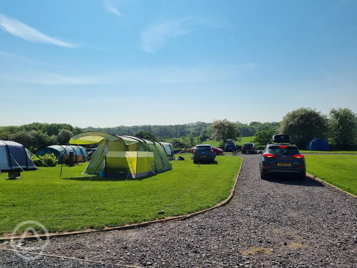 Grass tent pitches (optional electric)