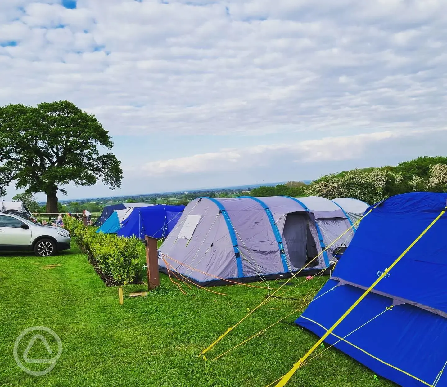 Grass tent pitches (optional electric)