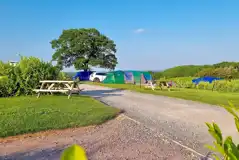 Grass pitches (optional electric)