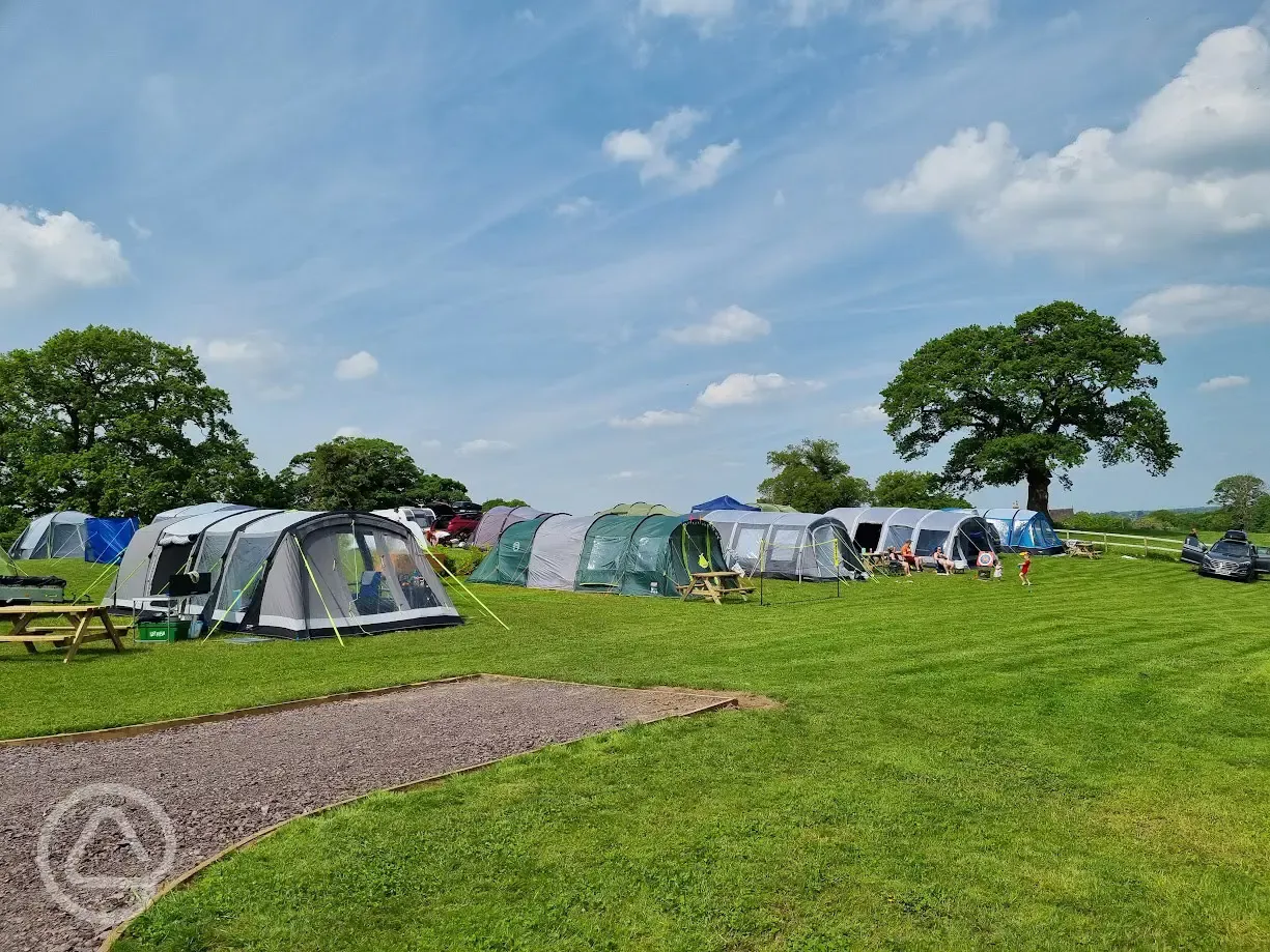 Grass tent pitches (optional electric)