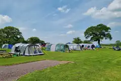 Grass tent pitches (optional electric)