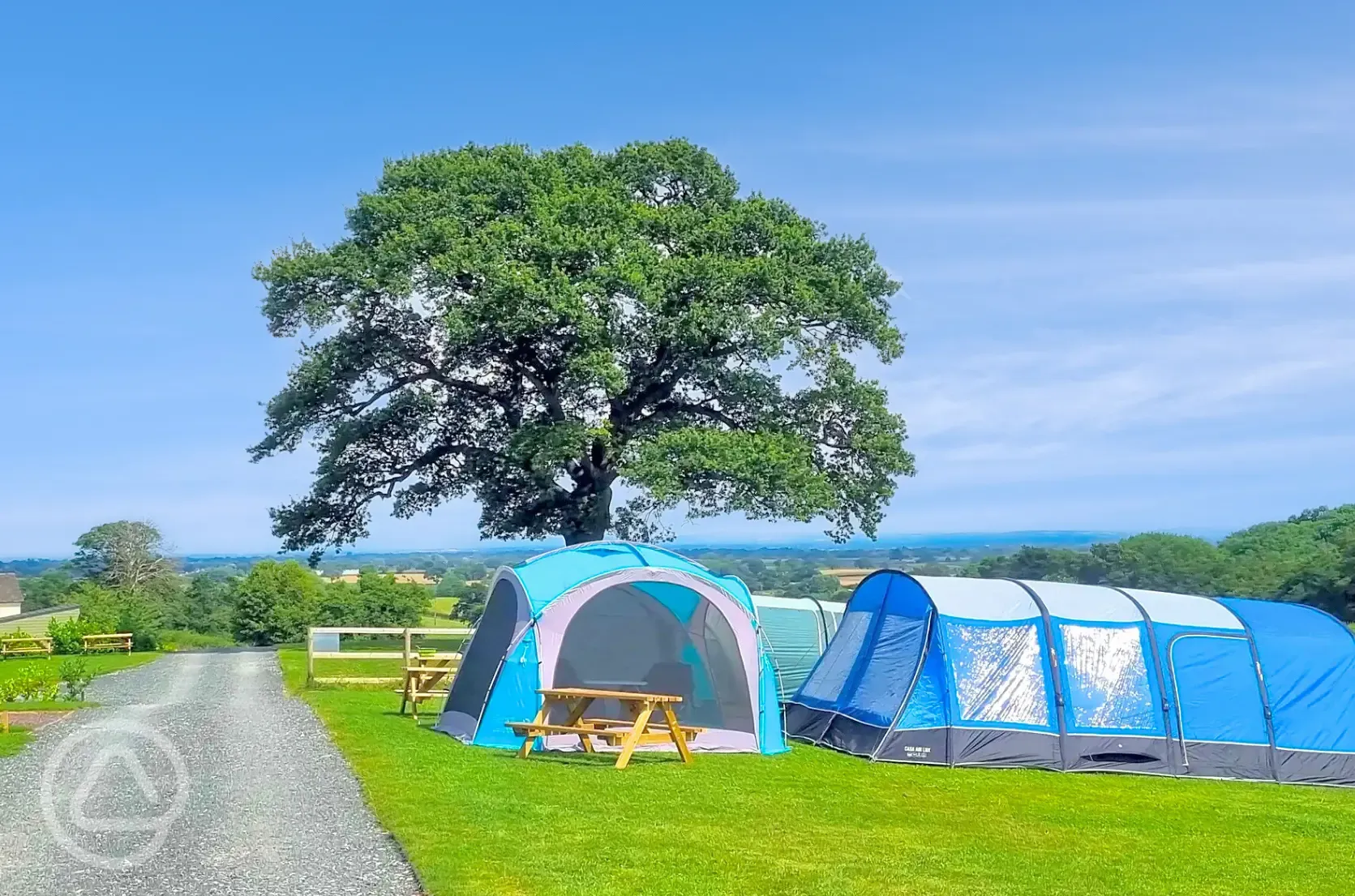 Grass pitches (optional electric)