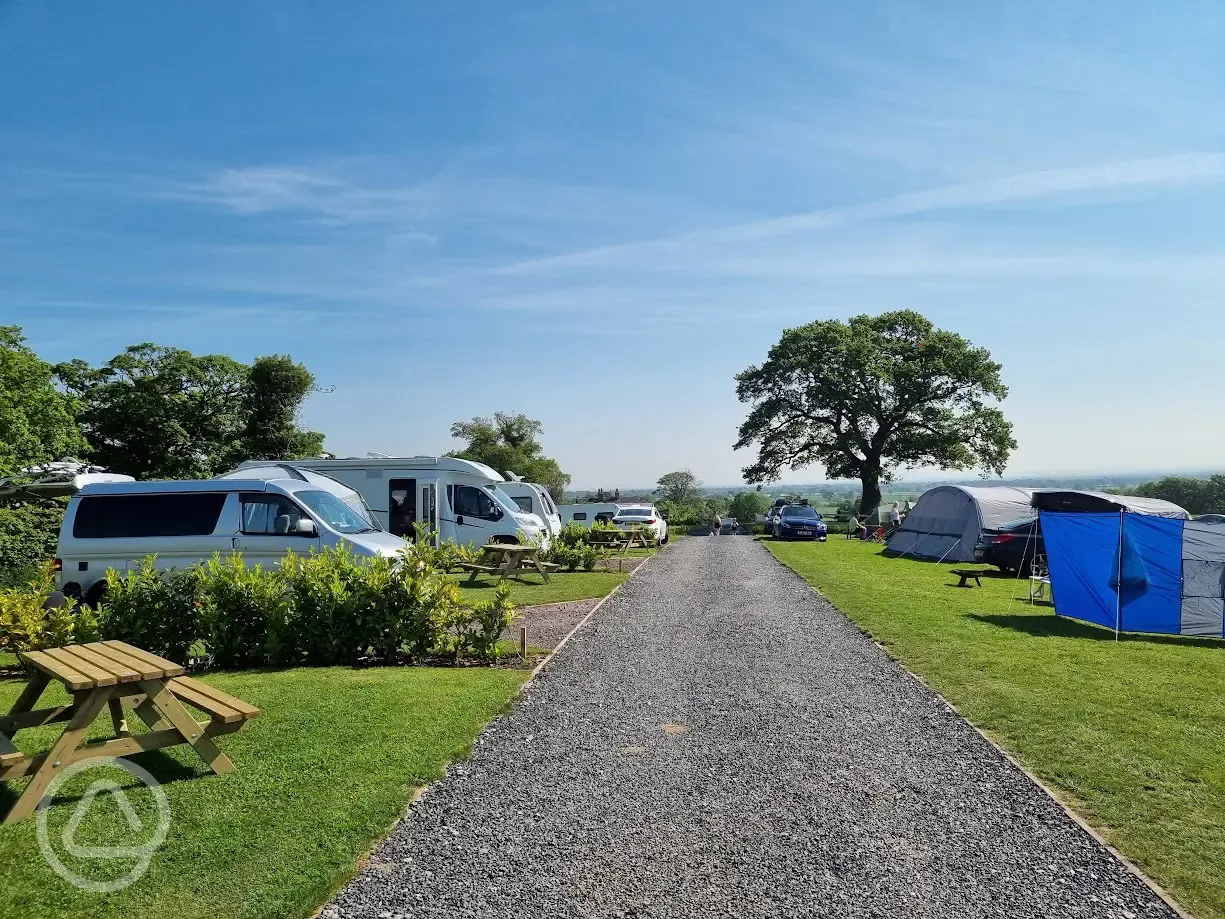 Grass pitches (optional electric)