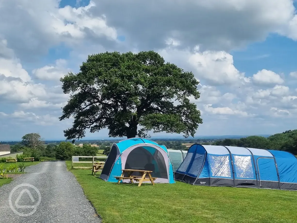 Grass tent pitches (optional electric)