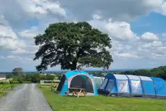 Grass tent pitches (optional electric)